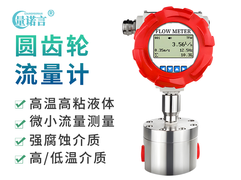 圆齿轮流量计